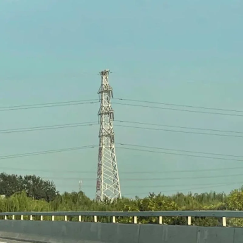 Galvanized Tangent Tower